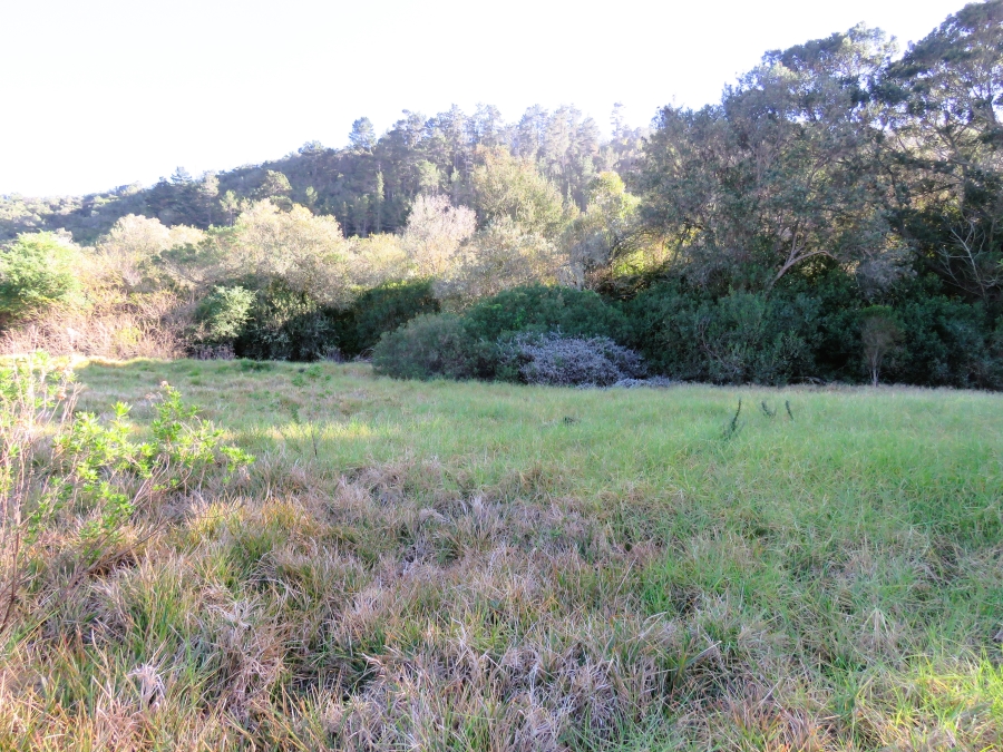 0 Bedroom Property for Sale in Keurbooms Western Cape
